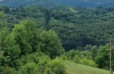 Kod Slaveka - Foto 55