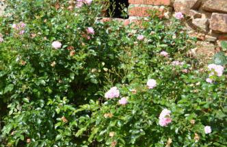 Gite de la Foye - La Couleur des prés - Foto 17