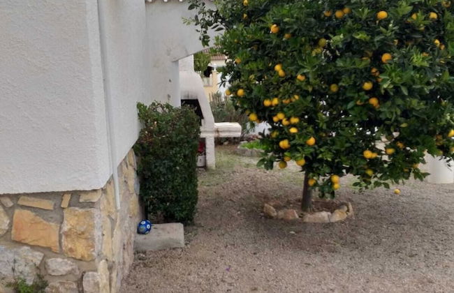 Casa Palmeras IV - Photo 46