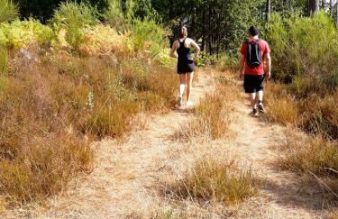 Les Hauts de Sentelines cottage - Foto 36