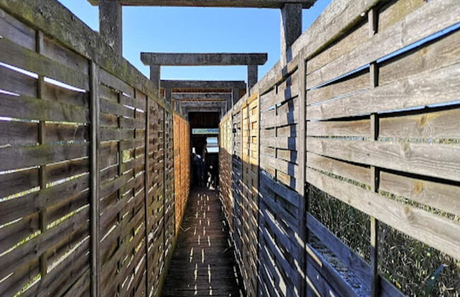 Feriendorf am Weinberg, Dobbrikow - Foto 12