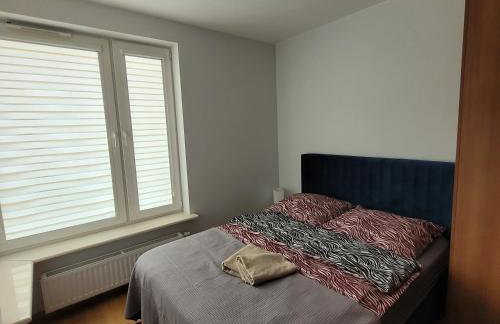 Queen Apartament Centrum z garażem - Foto 23