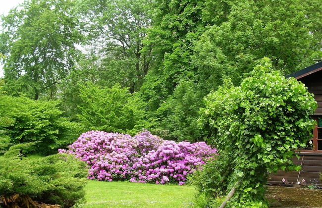 Pretty Holiday Home in Eschede Germany near Forest - Foto 25