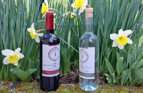 Villaggio traditional living - Foto 31