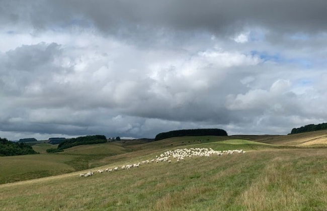 Traditional Bothy Accommodation - Foto 7
