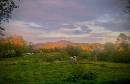 The Disco Den on Toad Road - Photo 31