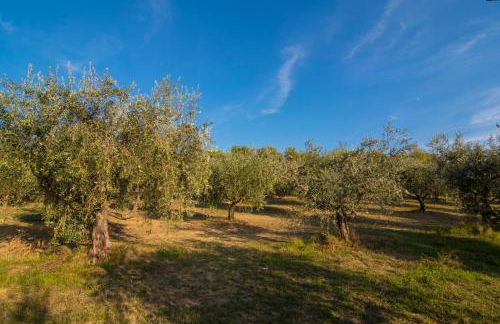 Agriturismo La Montagnola - Photo 11