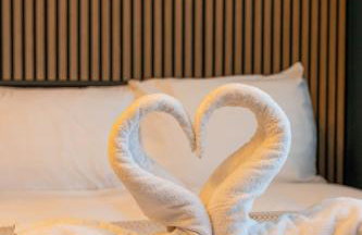 Downtown Studio 1 - Harrogate Town Centre - Photo 20