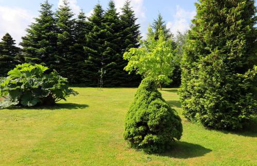 Ferienwohnung in Brusow an der Ostseekueste - Foto 78
