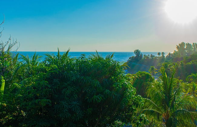 Buena Vista El Zonte - Foto 1