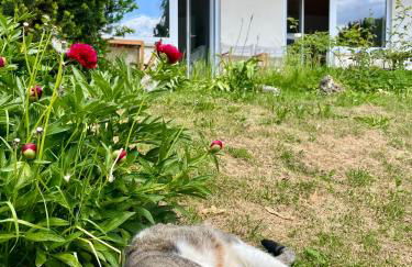 Schwabenperle Apartments - Foto 17