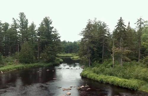 Riverside Cabin - Foto 40