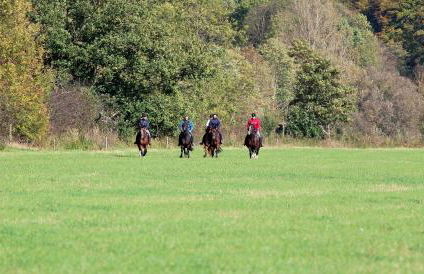 Landgasthof Probstei Zella - Foto 18
