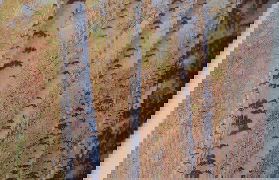 Stunning Apartment In London Tottenham - Foto 11