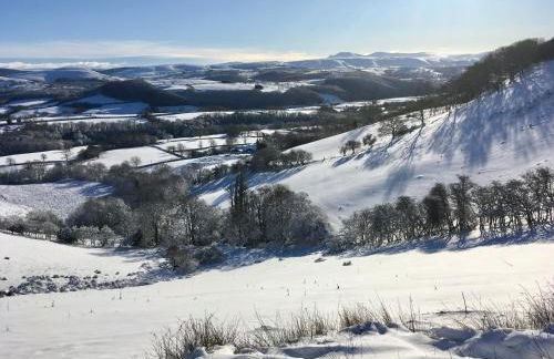Cuckoo Barn at Penygaer farm near the Brecon Beacons - Foto 45