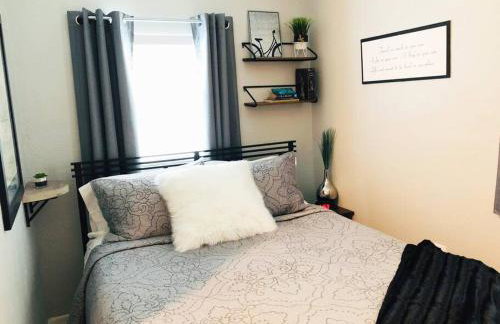 Downtown Dunedin! 2 bedroom 2 bath NO KIDS, NO PETS - Photo 25
