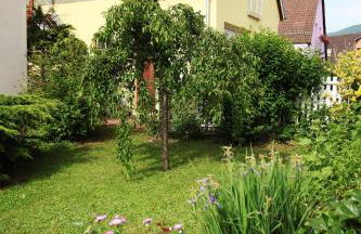 La maison du Vignoble - Foto 29