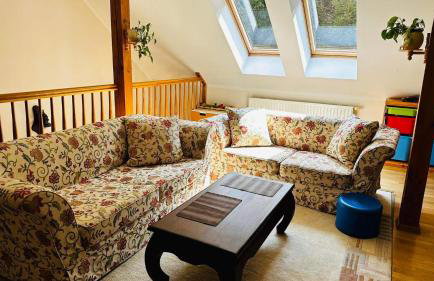 Dom Puchacza w Lądku-Zdroju - Foto 45