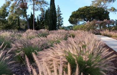 Quinta do Lago Villa and Golf - Foto 28