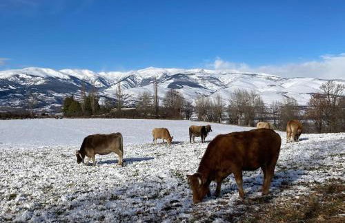 Cal Barné, acogedor alojamiento con jardín en Das - Foto 31