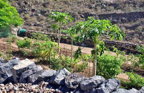 Finca el Vinche - Foto 17