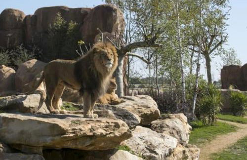 Gite des Terres Noires (nouveau logement) - Foto 12