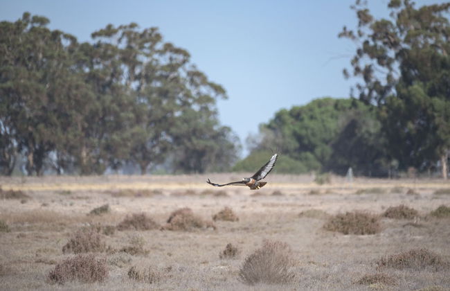 L'Ermitage Quagga Lodge - Photo 22