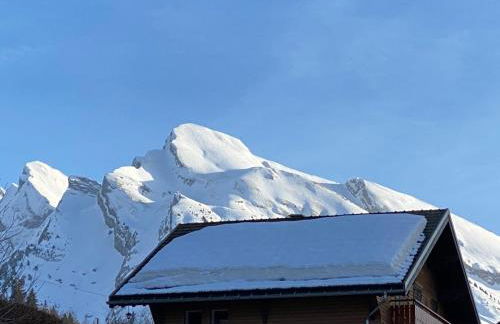 Les bouquetins - Foto 41