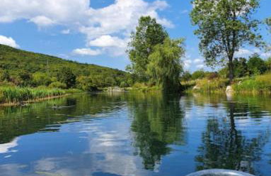 Apartman Swans - Foto 46