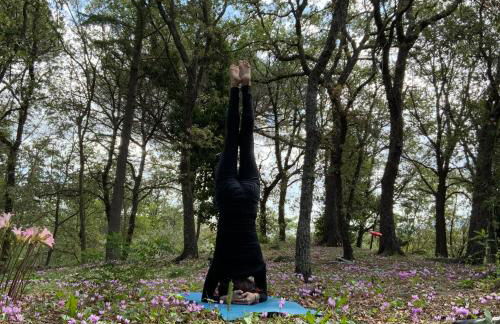 Poggio Roseto - Foto 134