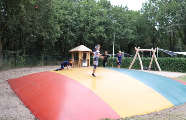 Chalet in Duinhoeve With Van Gogh Style - Photo 10