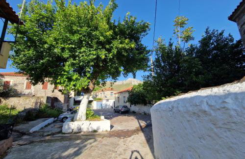 Afroditi's 1 - Photo 71