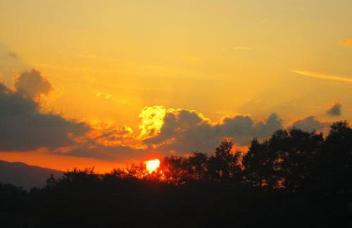 Apartment Flache Kornblume by Interhome - Foto 51