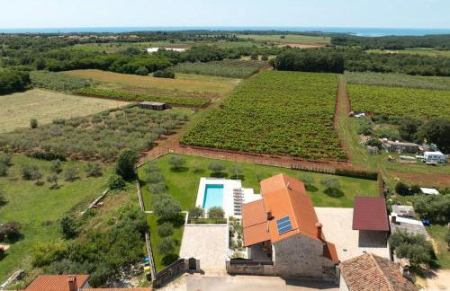 Sole DiVino by Briskva - Foto 44