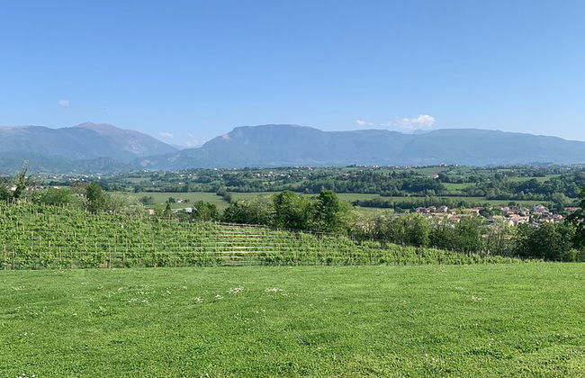 Premium Private Prosecco Hills Tour - 2 Cantine. Tour privato. - Foto 17