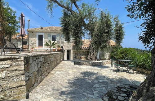 Villa Tilda - Foto 13