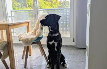 Ferienwohnung-Eichheck - Foto 10