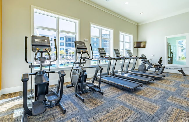 Landing Palmetto Apartments - Foto 18