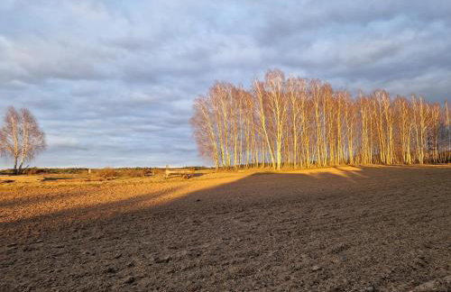 Domek Konrad - balia ogrodowa dodatkowo płatna - Foto 48