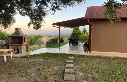 Gaia Olympus Escape - Foto 1