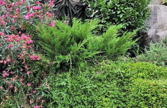 Red House by the River - Foto 10