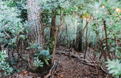 The Rosewood Cottage - Sauna, Soak, and Luxury - Foto 34