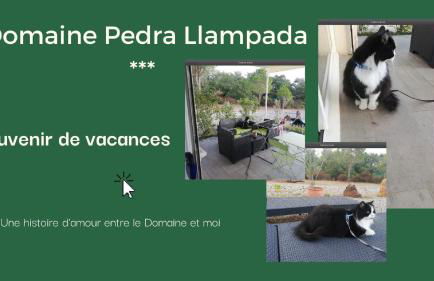 Domaine Pedra Llampada Gîtes Montagne - Photo 21