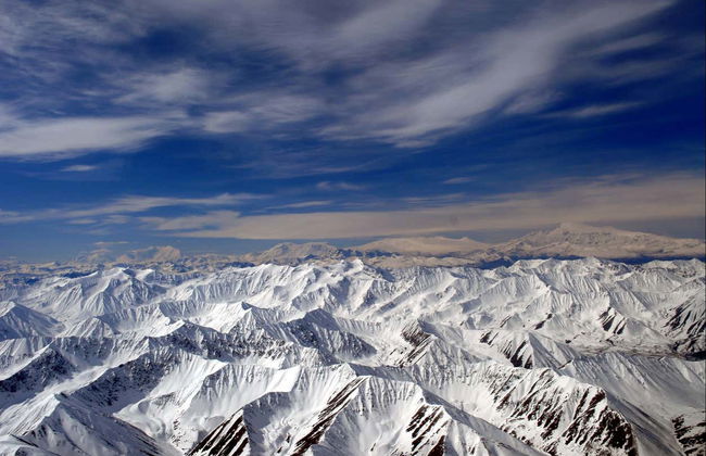 Grizzly Bear Spotting - Photo 4