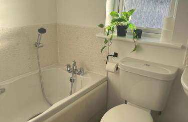 Black Daisy - Foto 9