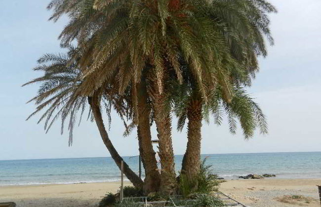 Sunshine Studios & Apartments - Foto 7