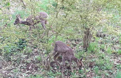 Nähe Nationalpark - Foto 18