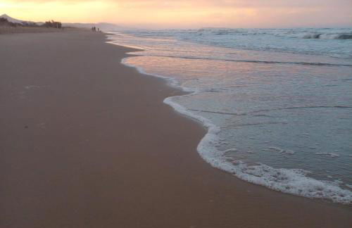 AmaNacer Oliva - Photo 23