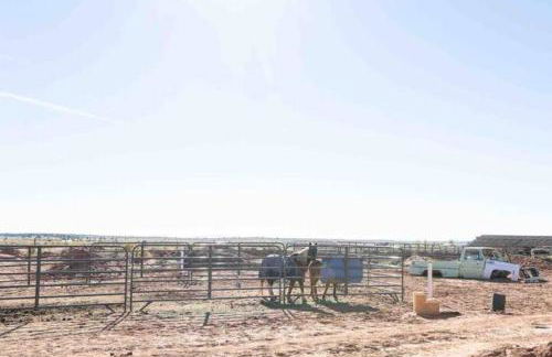 Denim and Diamonds - Foto 29