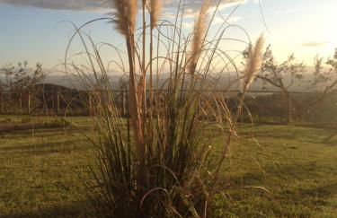 Il Poggio Delle Ginestre - Foto 55